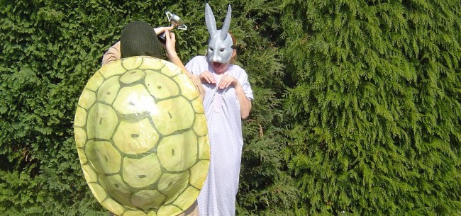 tortoise winning